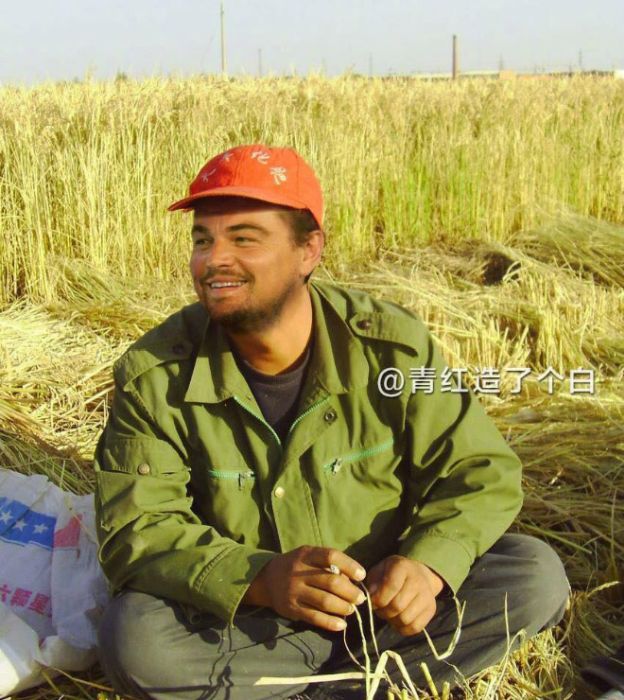 Celebrities As Chinese Farmers (15 pics)