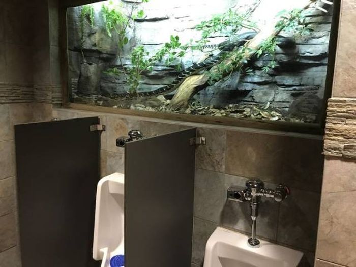 Acid Picdump (117 pics)