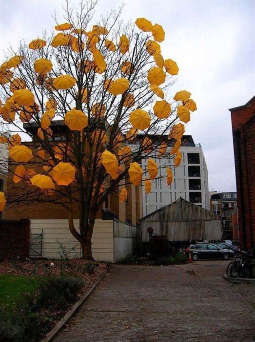 Acid Picdump (117 pics)