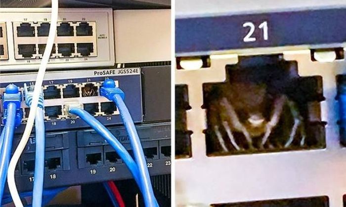 Sh*t Happens (54 pics)
