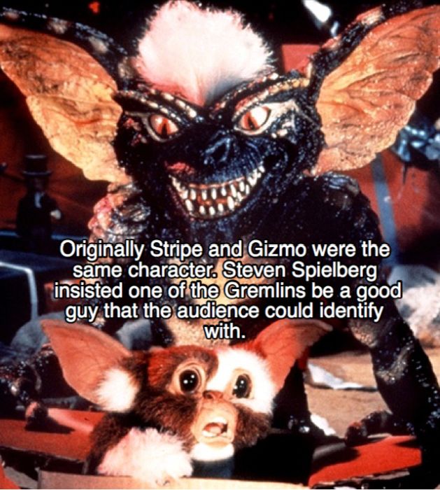 Facts About The Gremlins (20 pics)