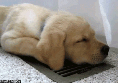 Acid Gifdump, April 18, 2018 (25 gifs)