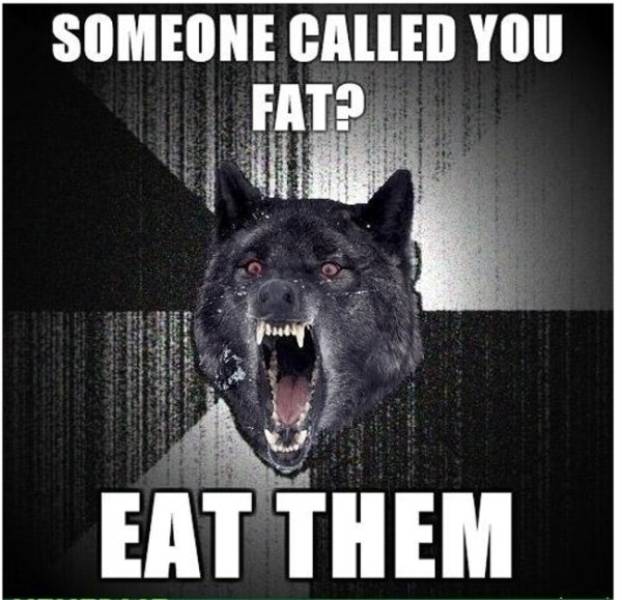 Wolf Memes (25 pics)
