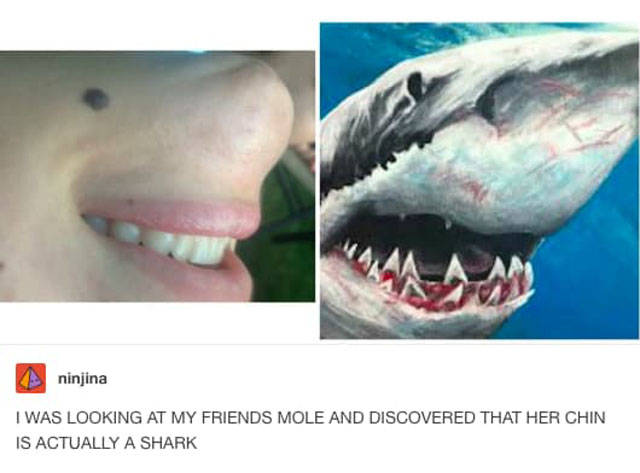 Snarky Posts From Tumblr (39 pics)