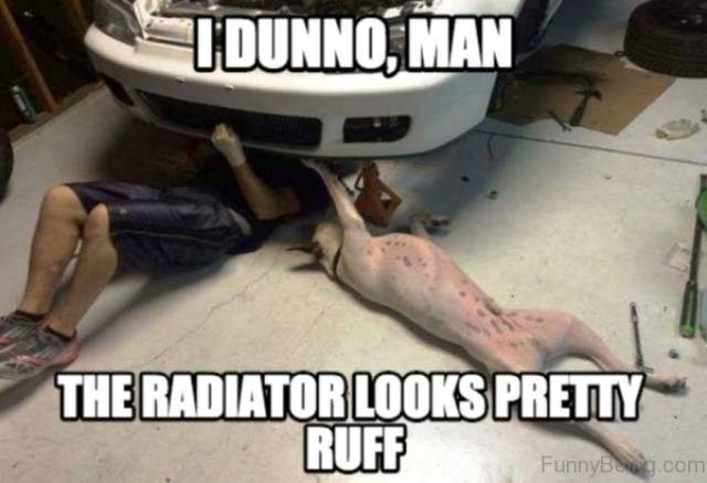 Car Memes (26 pics)