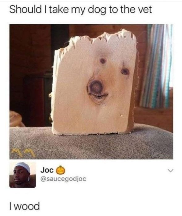 Funny Puns (27 pics)