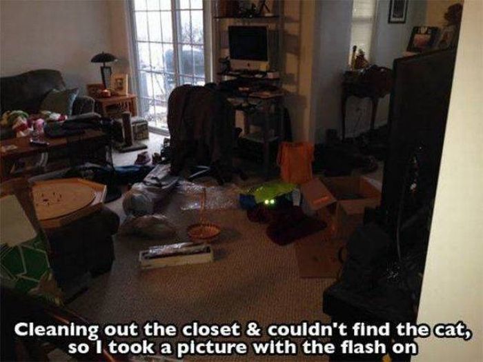 These People Are Smarter Than We Are (56 pics)