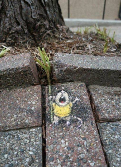 These People Are Smarter Than We Are (56 pics)