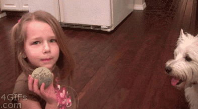 These People Are Smarter Than We Are (56 pics)