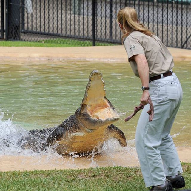 Steve Irwin's Daughter Is Going In Her Father's Footsteps (23 pics)