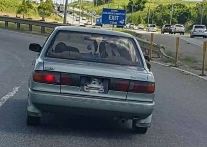 WTF Photos (44 pics)