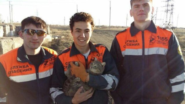 They Saved A Cat (3 pics)