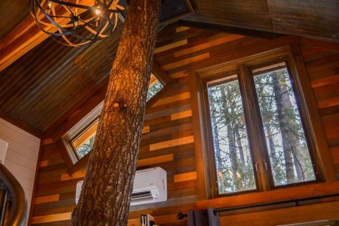 A Luxurious Treehouse (26 pics)