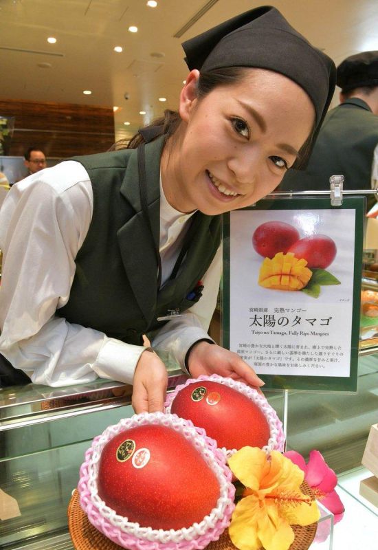 A Pair Of These Premium Mangoes Sells for 400,000 Yen ($3,730) In Japan (3 pics)