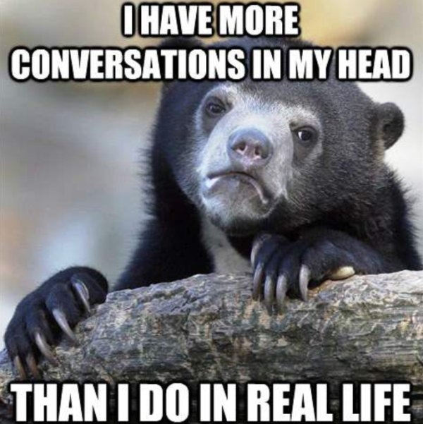 Confession Bear Meme (21 pics)