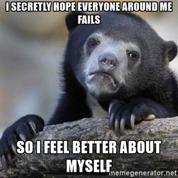 Confession Bear Meme (21 pics)