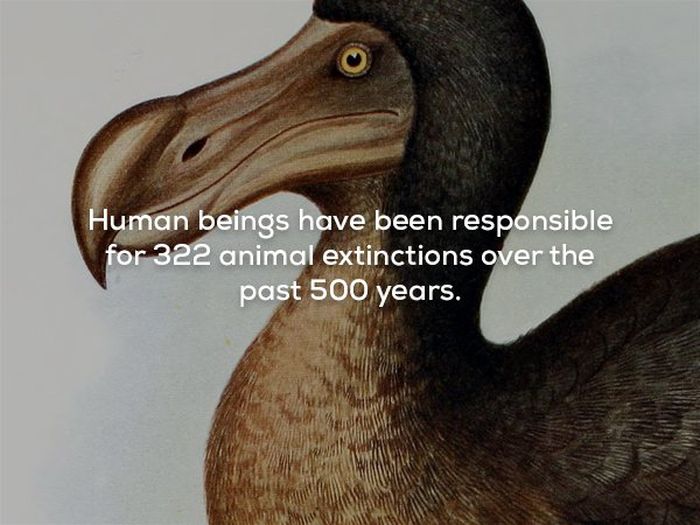 Scary Facts (20 pics)