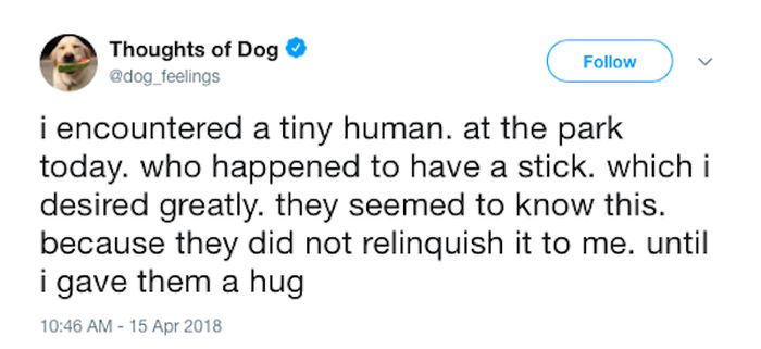 Dog Thoughts (30 pics)