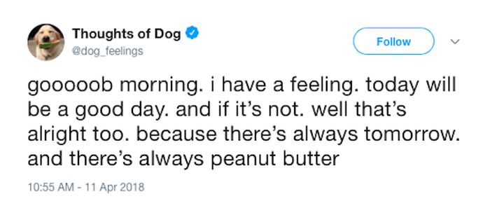 Dog Thoughts (30 pics)