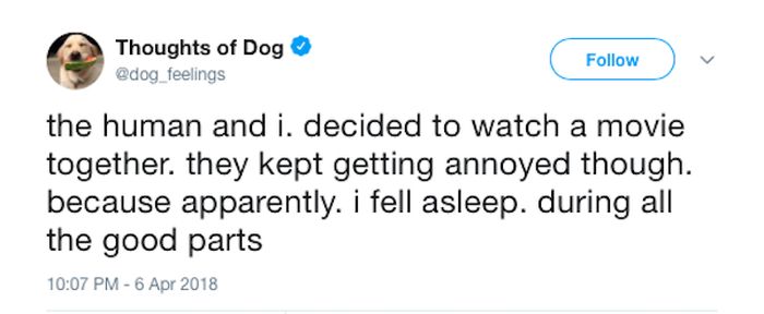 Dog Thoughts (30 pics)