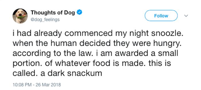 Dog Thoughts (30 pics)