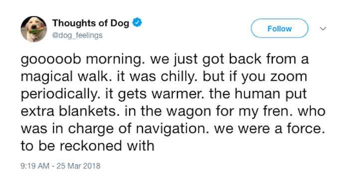Dog Thoughts (30 pics)