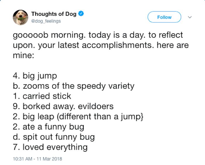 Dog Thoughts (30 pics)