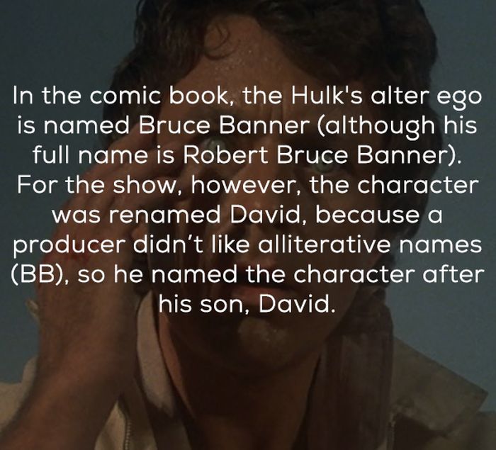 Hulk TV Show Facts (24 pics)