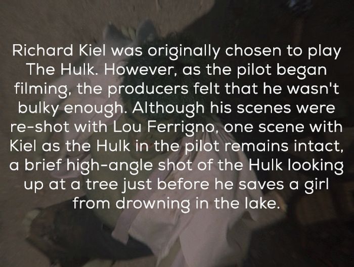Hulk TV Show Facts (24 pics)