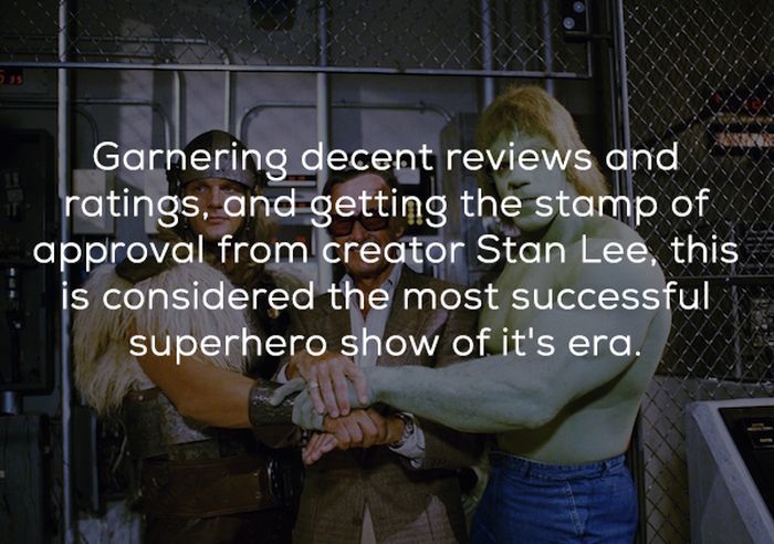 Hulk TV Show Facts (24 pics)