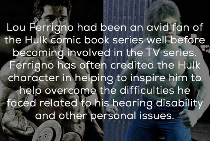 Hulk TV Show Facts (24 pics)