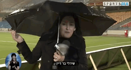 You Can't Beat Wind (15 gifs)