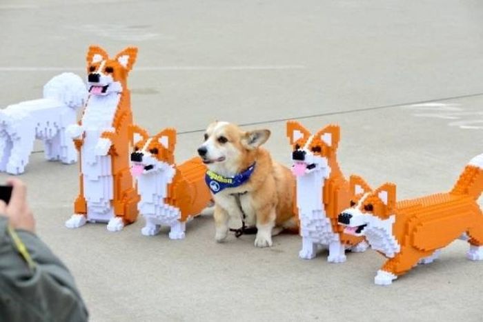 Awesome Things (44 pics)