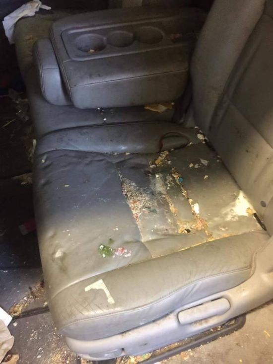 The Dirtiest Car Ever? (4 pics)