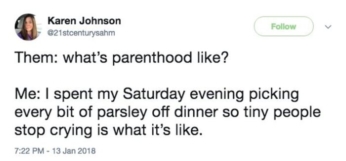 Funny Parenting Tweets (25 pics)