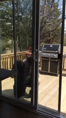 People Lose Against Objects (13 gifs)