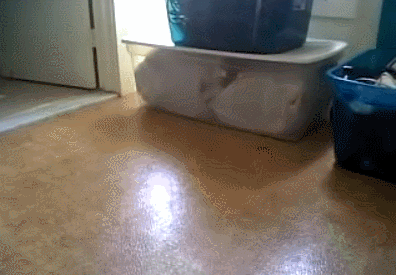 These Things Fit Perfect Together (16 gifs)