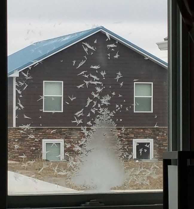 Times Accidental Art Was Better Than Your Actual Art (40 pics)