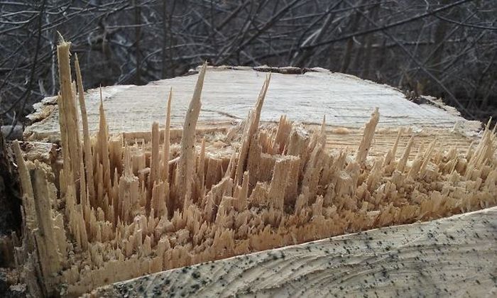 Times Accidental Art Was Better Than Your Actual Art (40 pics)