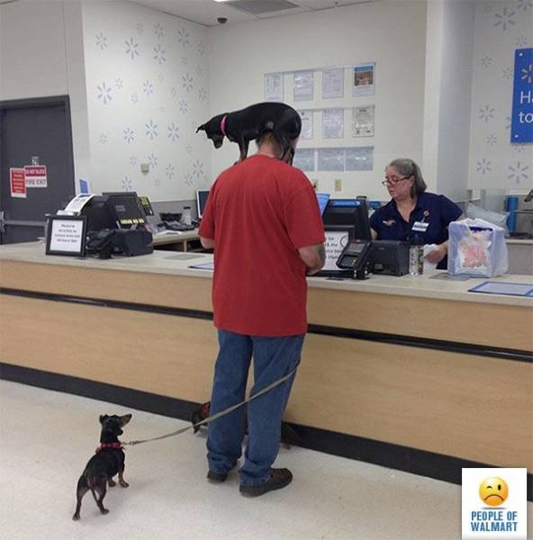 People Of Walmart (28 pics)