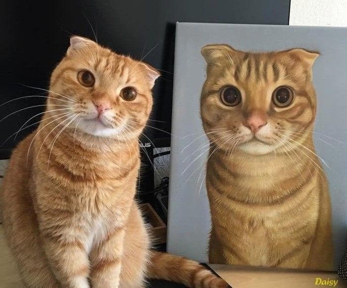 Acid Picdump (97 pics)