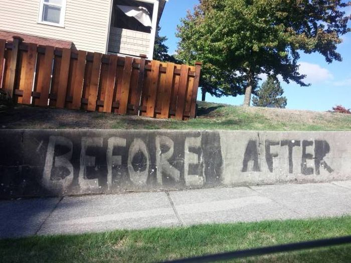 Acid Picdump (97 pics)