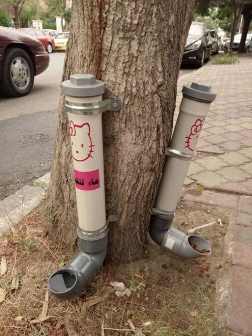 Street Feeders And Drinking Bowls For Cats In Damascus (4 pics)