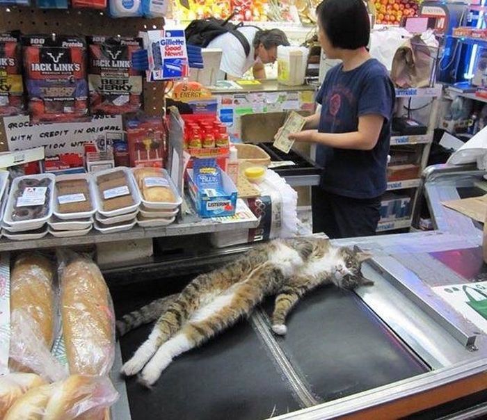 Acid Picdump (96 pics)