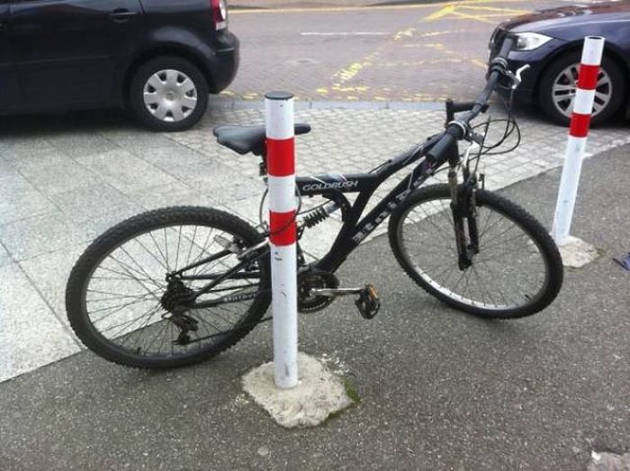 So Dumb (30 pics)