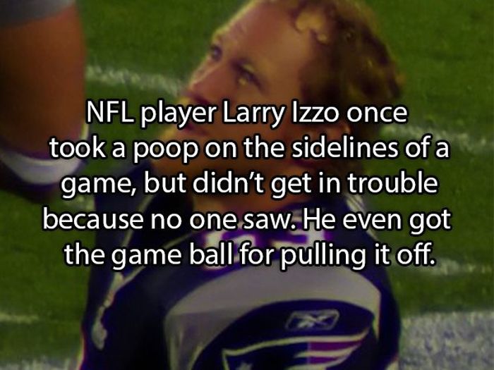 Facts About Poop (19 pics)