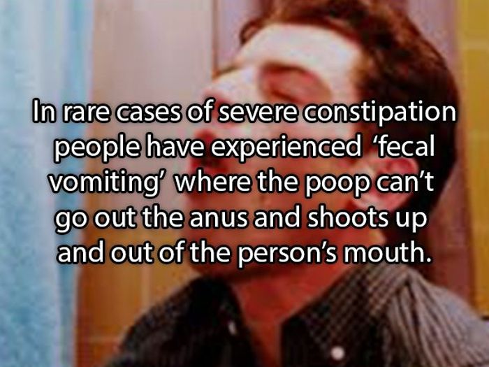 Facts About Poop (19 pics)