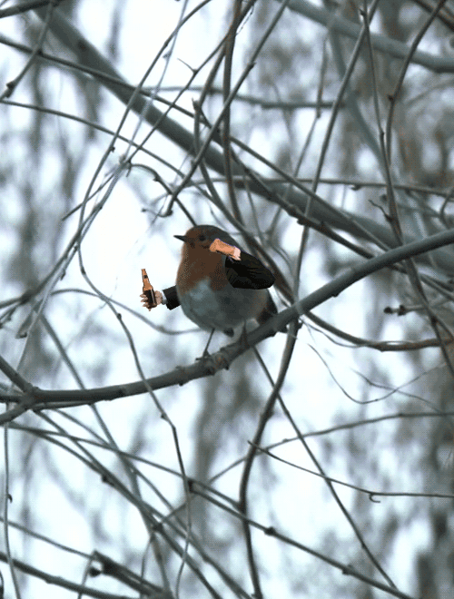 Birds With Arms (20 gifs)