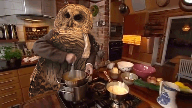 Birds With Arms (20 gifs)