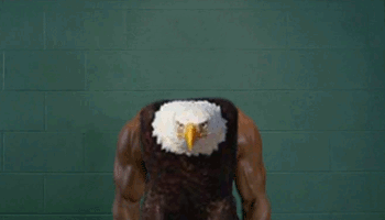 Birds With Arms (20 gifs)